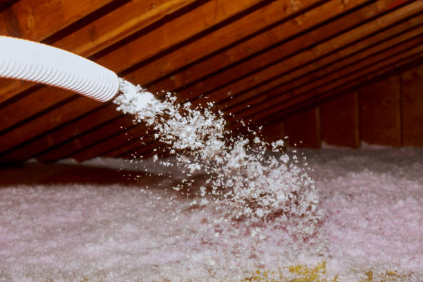 Best Types of Insulation in Hallandale Beach, FL