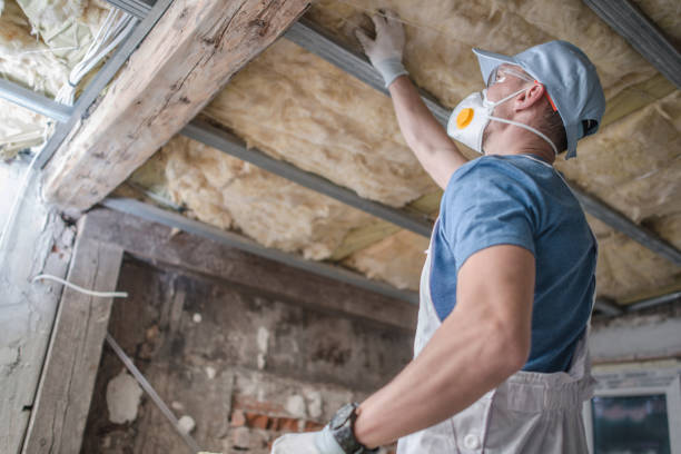 Best Specialty Insulation in Hallandale Beach, FL