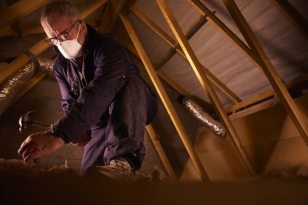 Best Insulation Installation Services in Hallandale Beach, FL